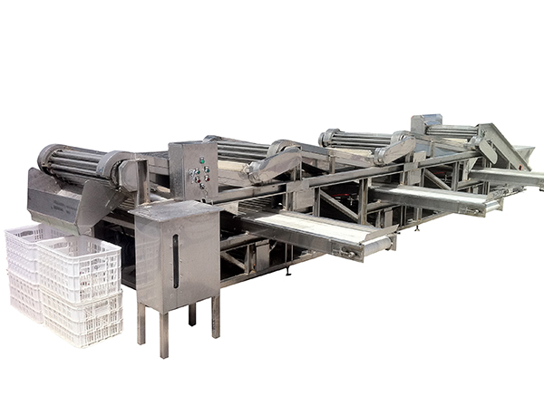 階段式滾杠分級機(俊棗、核桃、山楂)(圖1)