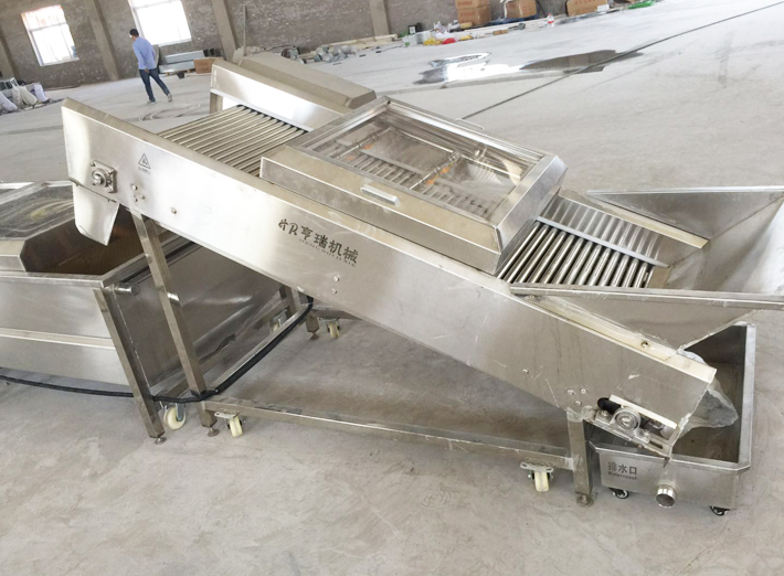 干果清洗提升噴淋機(圖1) 干果清洗提升噴淋機(圖1)