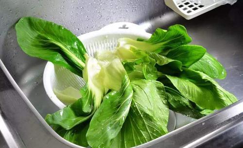 凈菜加工設備火熱原來是新版農殘標準涵蓋品種和限量數增加(圖3) 凈菜加工設備火熱原來是新版農殘標準涵蓋品種和限量數增加(圖3)