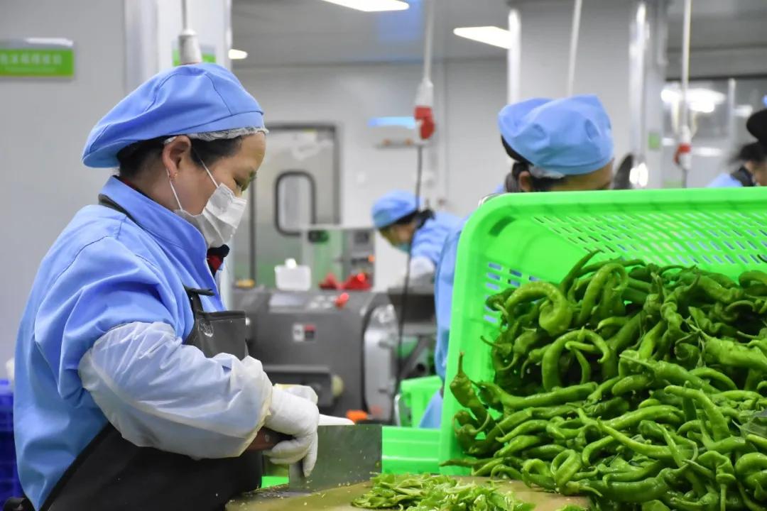 凈菜屢現食品安全問題,凈菜加工還有銷售市場嗎?工廠該如何選擇(圖1) 凈菜屢現食品安全問題,凈菜加工還有銷售市場嗎?工廠該如何選擇(圖1)