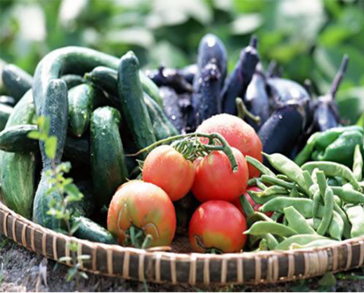 蔬菜加工半成品生意的市場潛力？半成品蔬菜會火嗎？(圖3)