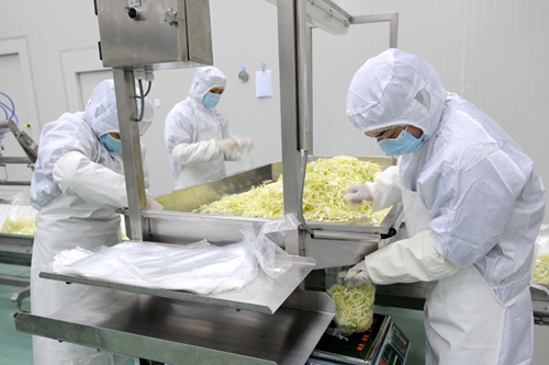 為您解讀凈菜加工生產線(圖1) 為您解讀凈菜加工生產線(圖1)