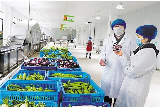 凈菜加工設備 沙拉加工生產線的加工流程是怎樣的?(圖1) 凈菜加工設備 沙拉加工生產線的加工流程是怎樣的?(圖1)